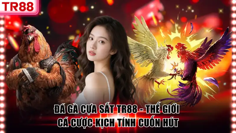 Đá gà cựa sắt